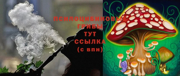спиды Краснослободск