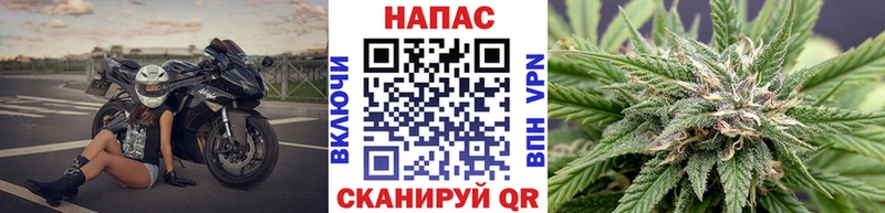 Шишки марихуана конопля  OMG маркетплейс  Красноармейск 